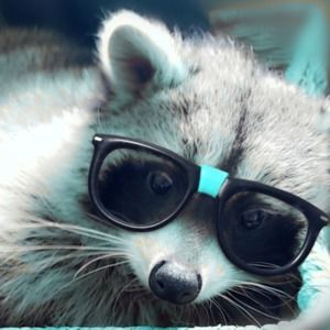 Meet your Posher, Colleen